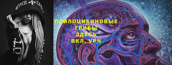 твердый Балахна